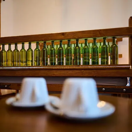 Guest house Dum U Lazni Znojmo